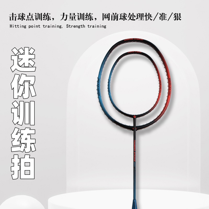 Badminton Racket Carbon - Ракетка для бадминтона из карбона, мини-ракетка